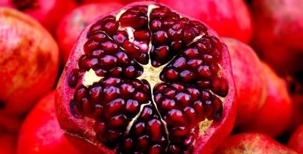 عکس انار زیبا