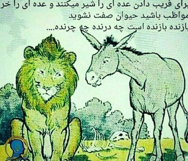 عکس واقعی روبرتو هونگو