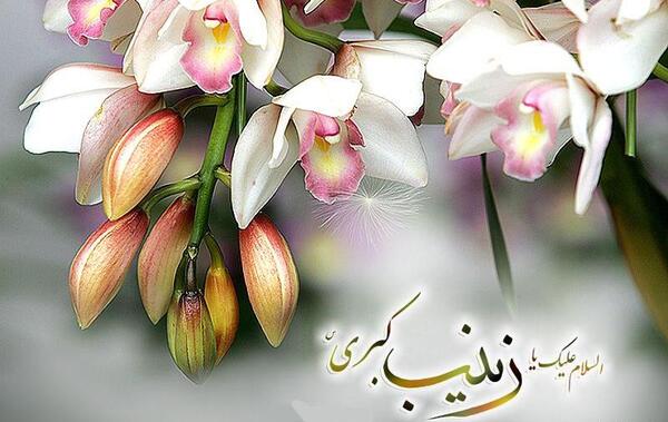 عکس زینب گل