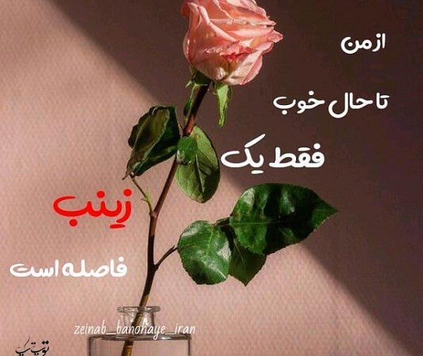 عکس زینب گل