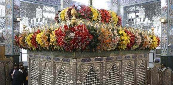 عکس زینب گل