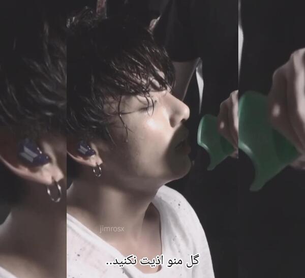 عکس گل ژینورا