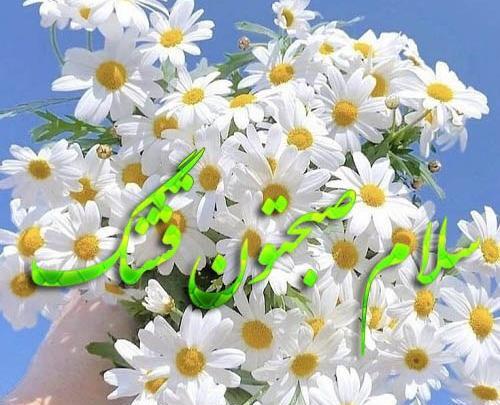 عکس نوشته سلام دوستان