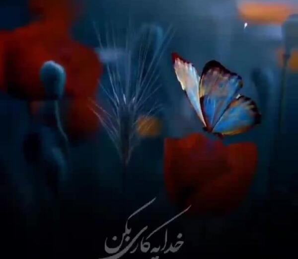 عکس نوشته خدا یه کاری کن بال پرنده نشکنه