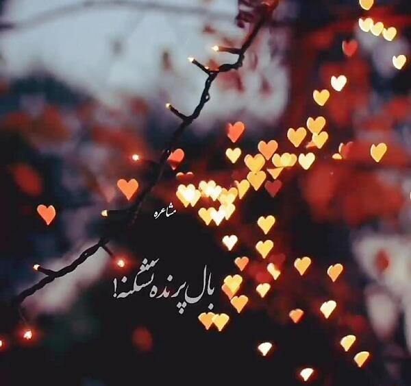 عکس نوشته خدا یه کاری کن بال پرنده نشکنه