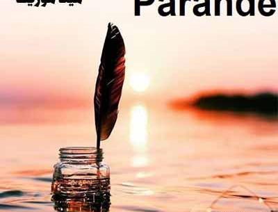 عکس نوشته خدا یه کاری کن بال پرنده نشکنه