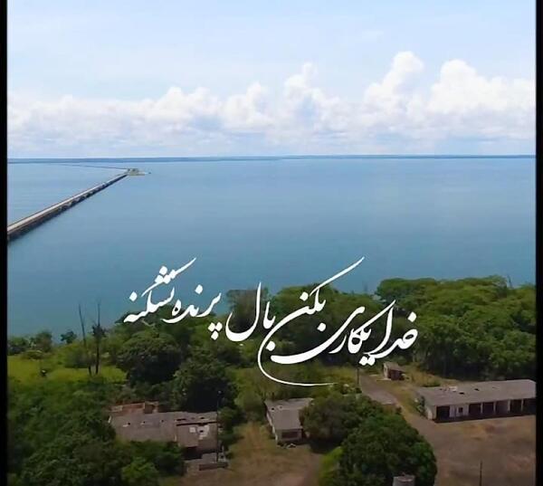 عکس نوشته خدا یه کاری کن بال پرنده نشکنه