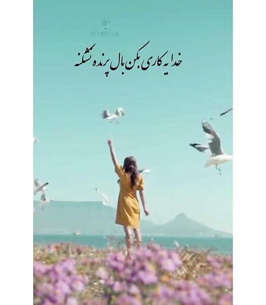 عکس نوشته خدا یه کاری کن بال پرنده نشکنه