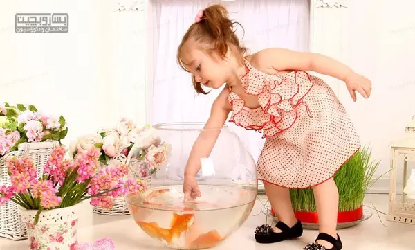 عکس آتلیه نوروزی