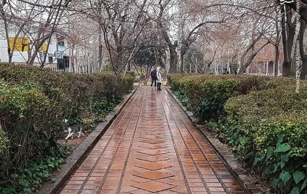 عکس های بارش باران