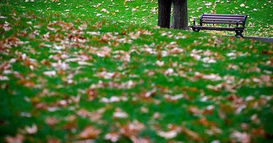 عکس های بارش باران