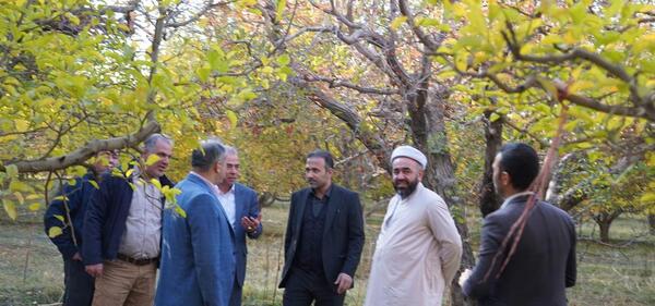 عکس زندان نقده