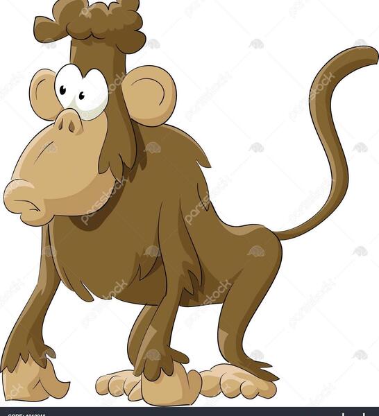 عکس میمون سفید