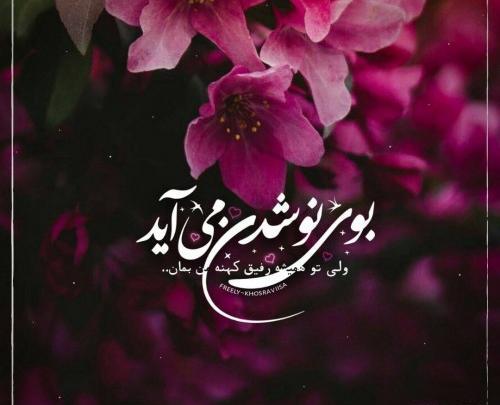 عکس پروفایل آمد بهار جانها