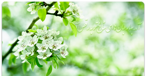 عکس پروفایل آمد بهار جانها