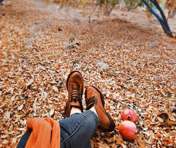 عکس پاییز برای استوری واتساپ