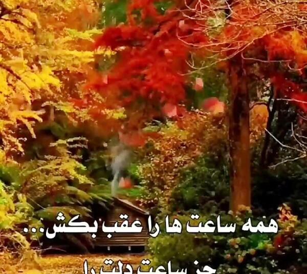 عکس پاییز برای استوری واتساپ
