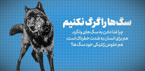 عکس سگ و گرگ