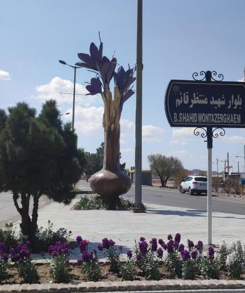عکس زعفران فردوس