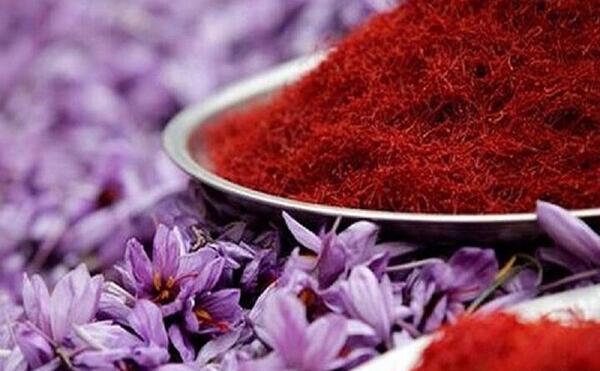عکس زعفران فردوس