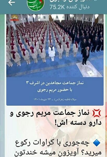 عکس پرحاشیه ویسگون