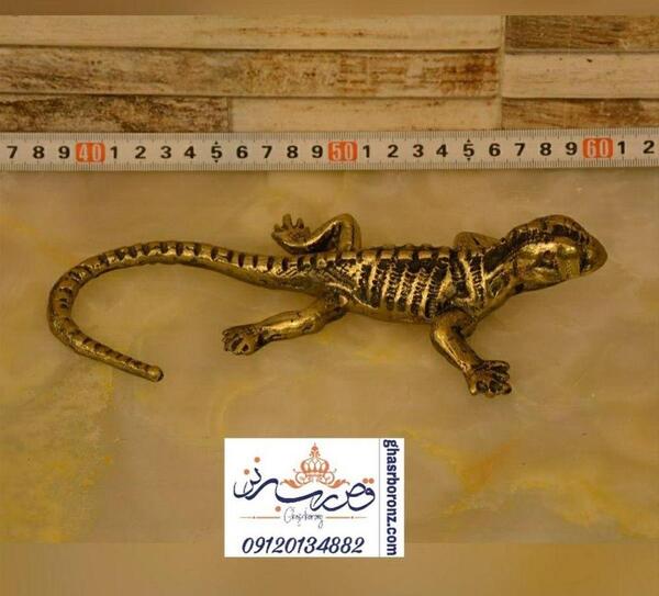 عکس مارمولک کوچک
