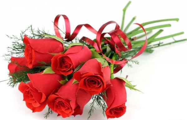 عکس های عاشقانه گل ها