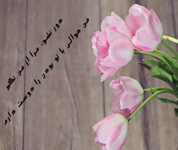 عکس های عاشقانه گل ها
