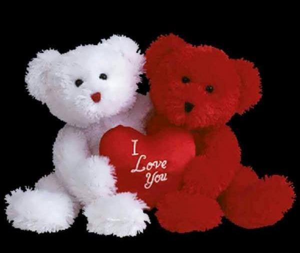 عکس عروسک خرس برای پروفایل