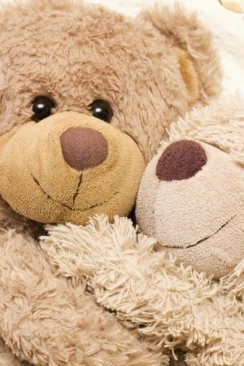 عکس عروسک خرس برای پروفایل