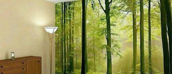 عکس سه بعدی روی دیوار