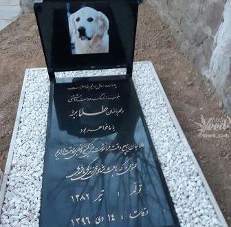 عکس قبض روح