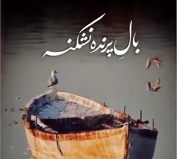 عکس نوشته خدا یه کاری کن