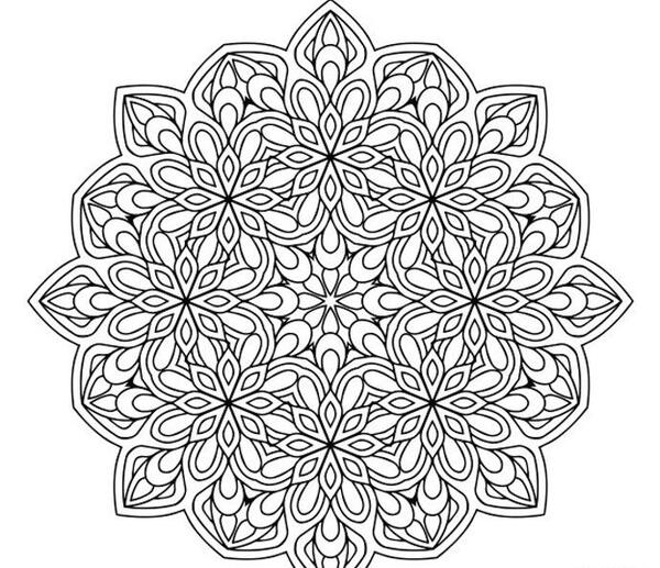 عکس وکتور اسلیمی