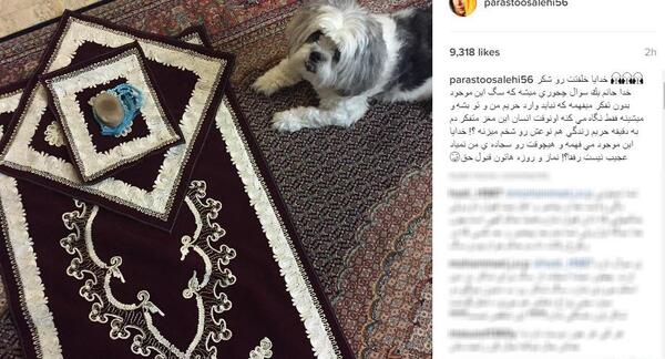 عکس پای پرستو صالحی