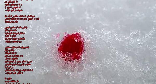 عکس نوشته شعر شهدا