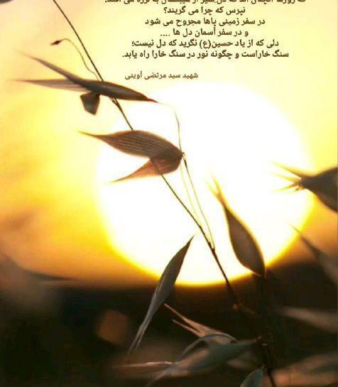 عکس نوشته شعر شهدا