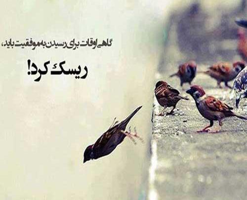 عکس پروفایل پیش به سوی موفقیت