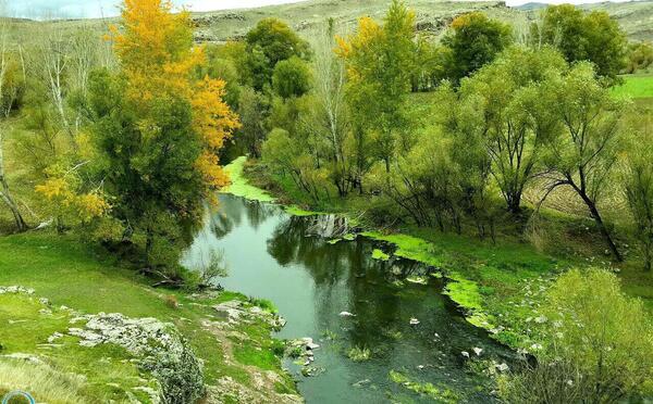 عکس طبیعت ثمرین