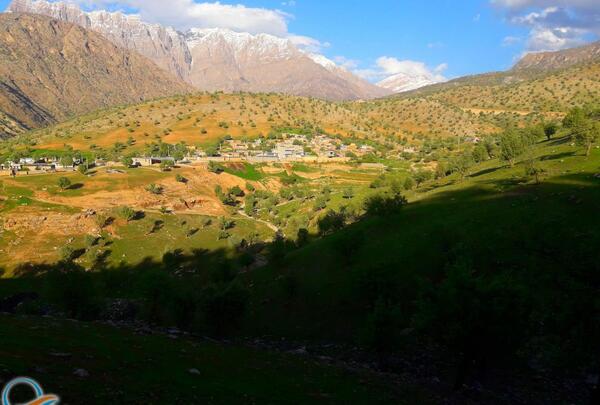 عکس طبیعت ثمرین