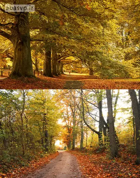 عکس پاییزی فضای باز