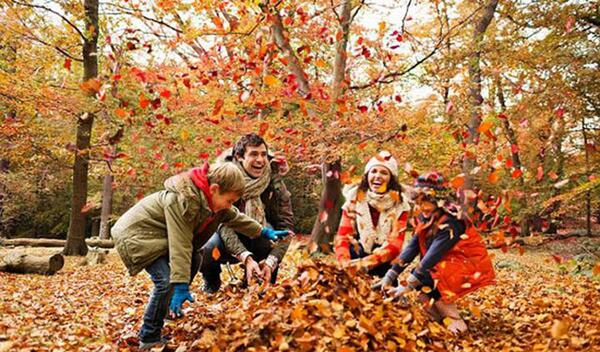 عکس پاییزی فضای باز
