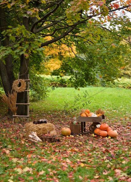 عکس پاییزی فضای باز