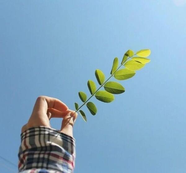 عکس پروفایل طبیعت فانتزی