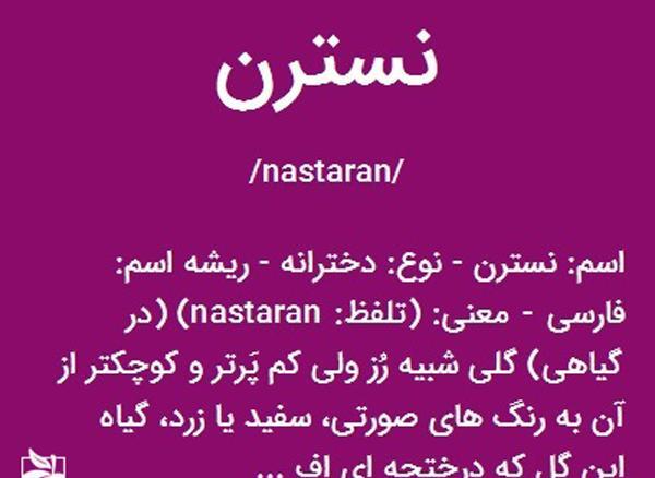 عکس روز دختر نسترن
