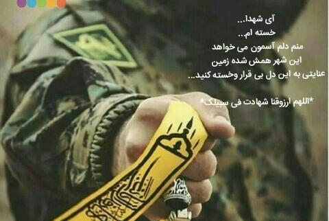 عکس نوشته دلم گرفته شهدا