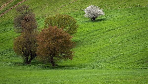 عکس تصاویر زیبای طبیعت مازندران