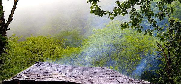 عکس تصاویر زیبای طبیعت مازندران