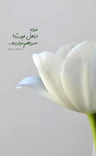 عکس خدایا شکرت با گل