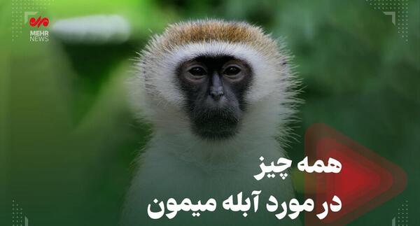عکس آبله میمون در ایران